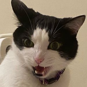 Meet your Posher, Meredith